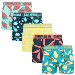 P�nske Bavlnen� Boxerky GIANVAGLIA GVG-5078 5-balenie - dar�ekov� balenie mix farieb